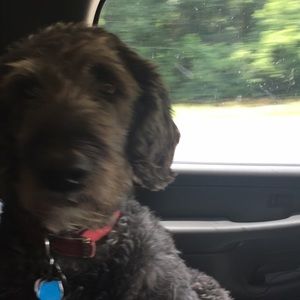 Meet your Posher, Layne